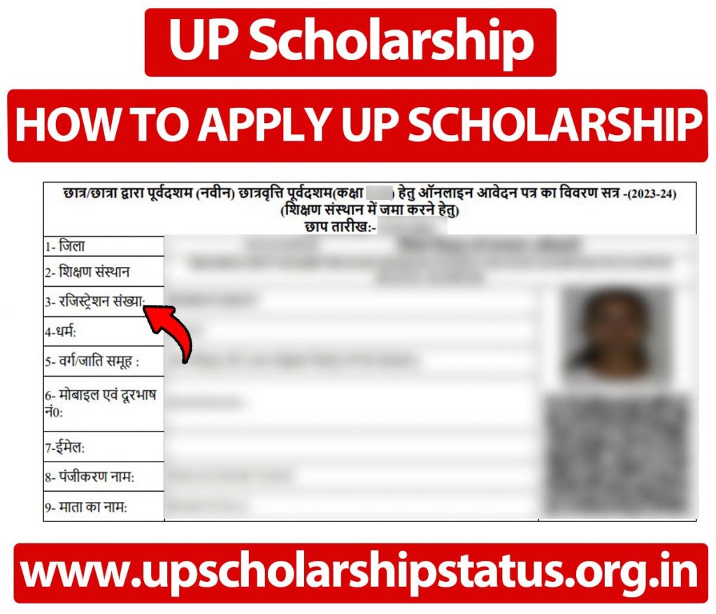 UP Scholarship